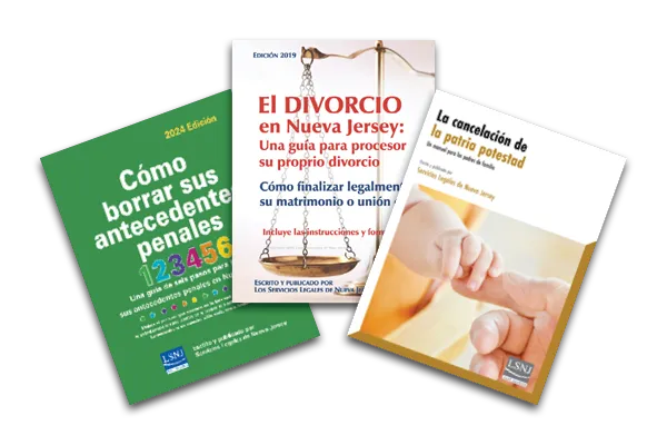 Guías y manuales jurídicos