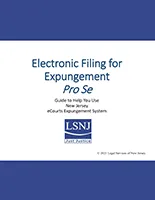 Electronic Filing for Expungement Pro Se