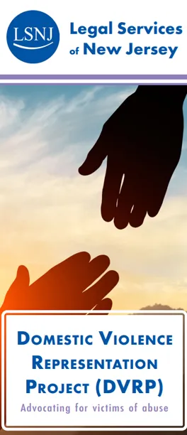 Domestic Violence Representation Project (DVRP)